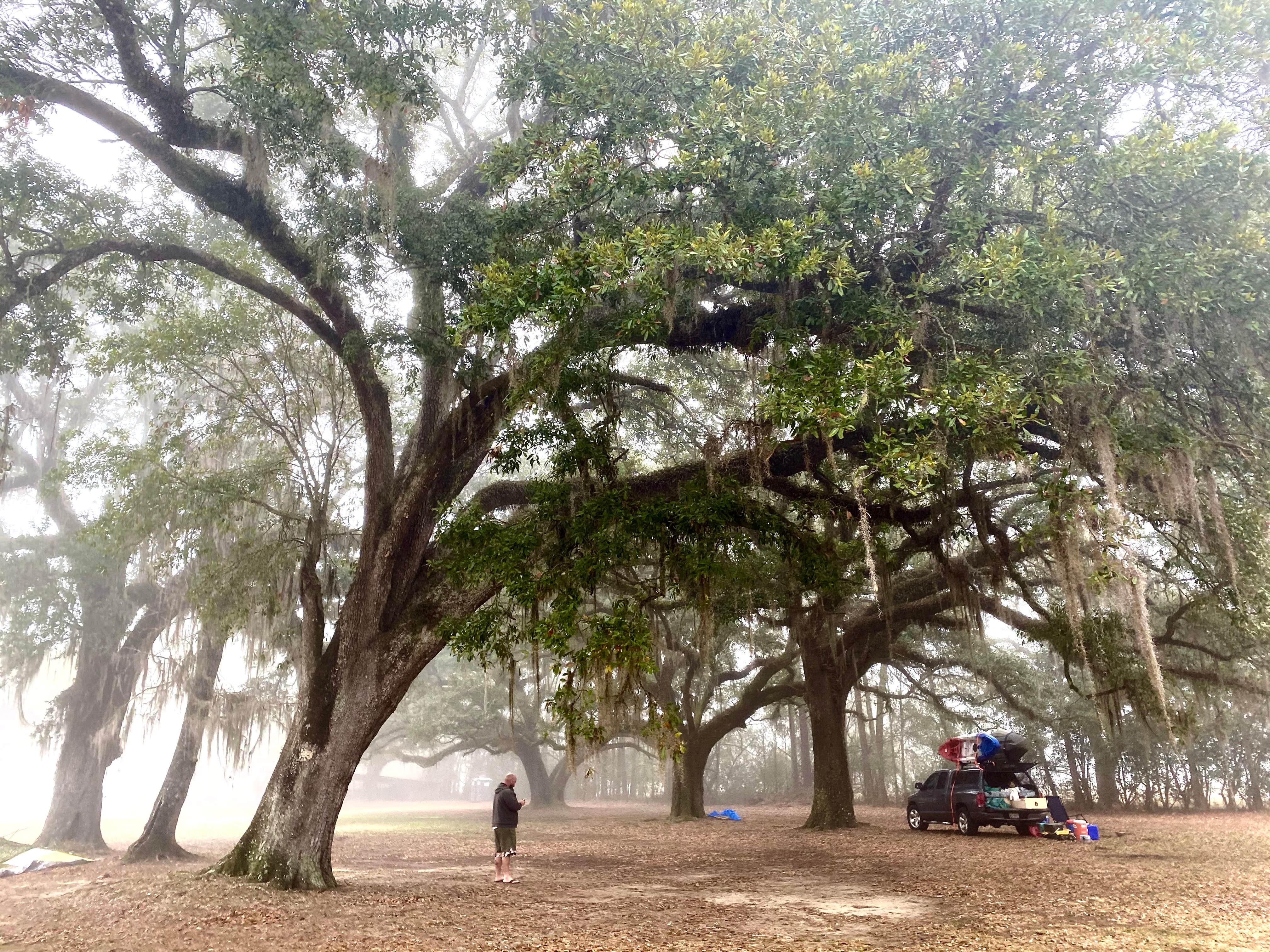 Camper-submitted photo at Pearl River WMA - Crawford Landing near Pearl River, LA