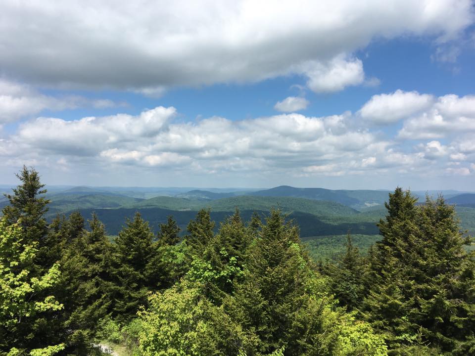 Camper submitted image from Spruce Knob and Spruce Knob Observation Tower - 2