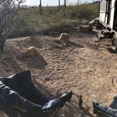 Review photo of Gilbert Ray Campground by Erin A., March 1, 2021