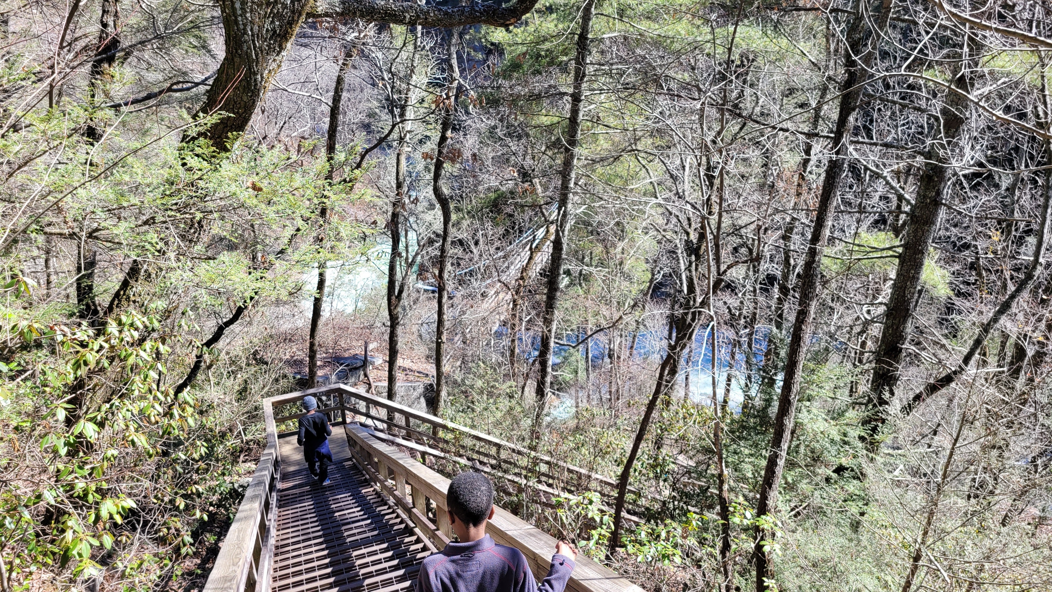 Camper submitted image from Tallulah Gorge State Park - 1