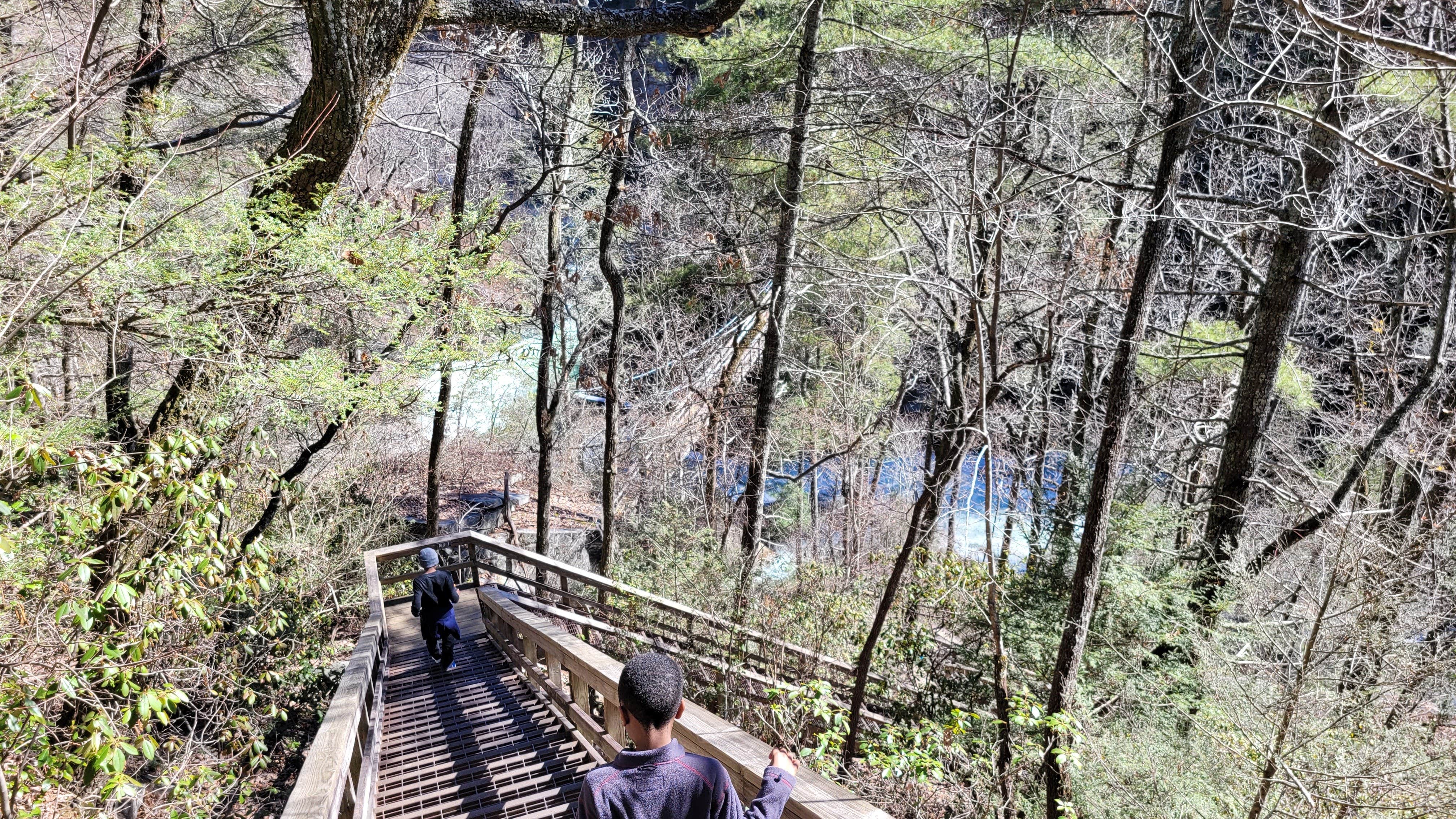 Camper submitted image from Tallulah Gorge State Park Campground - 1