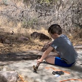 Review photo of Davis Mountains State Park Campground by Chris H., March 2, 2021
