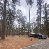 Review photo of Cagle Recreation Area by Rick G., March 2, 2021