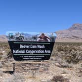 Review photo of Beaver Dam Wash Dispersed Spot by Greg L., March 2, 2021