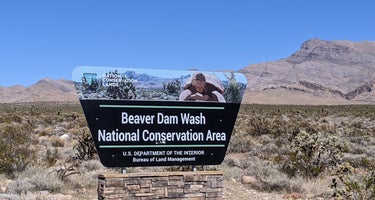 Beaver Dam Wash Dispersed Spot
