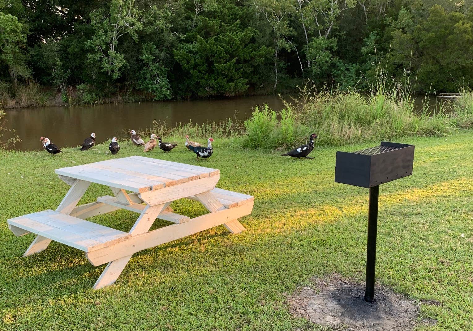 Camper-submitted photo at Anahuac RV Park near Wallisville, TX