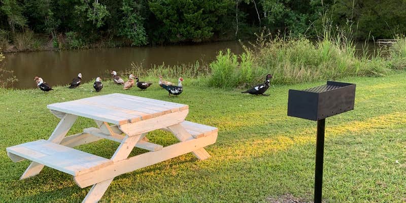 Camper submitted image from Anahuac RV Park