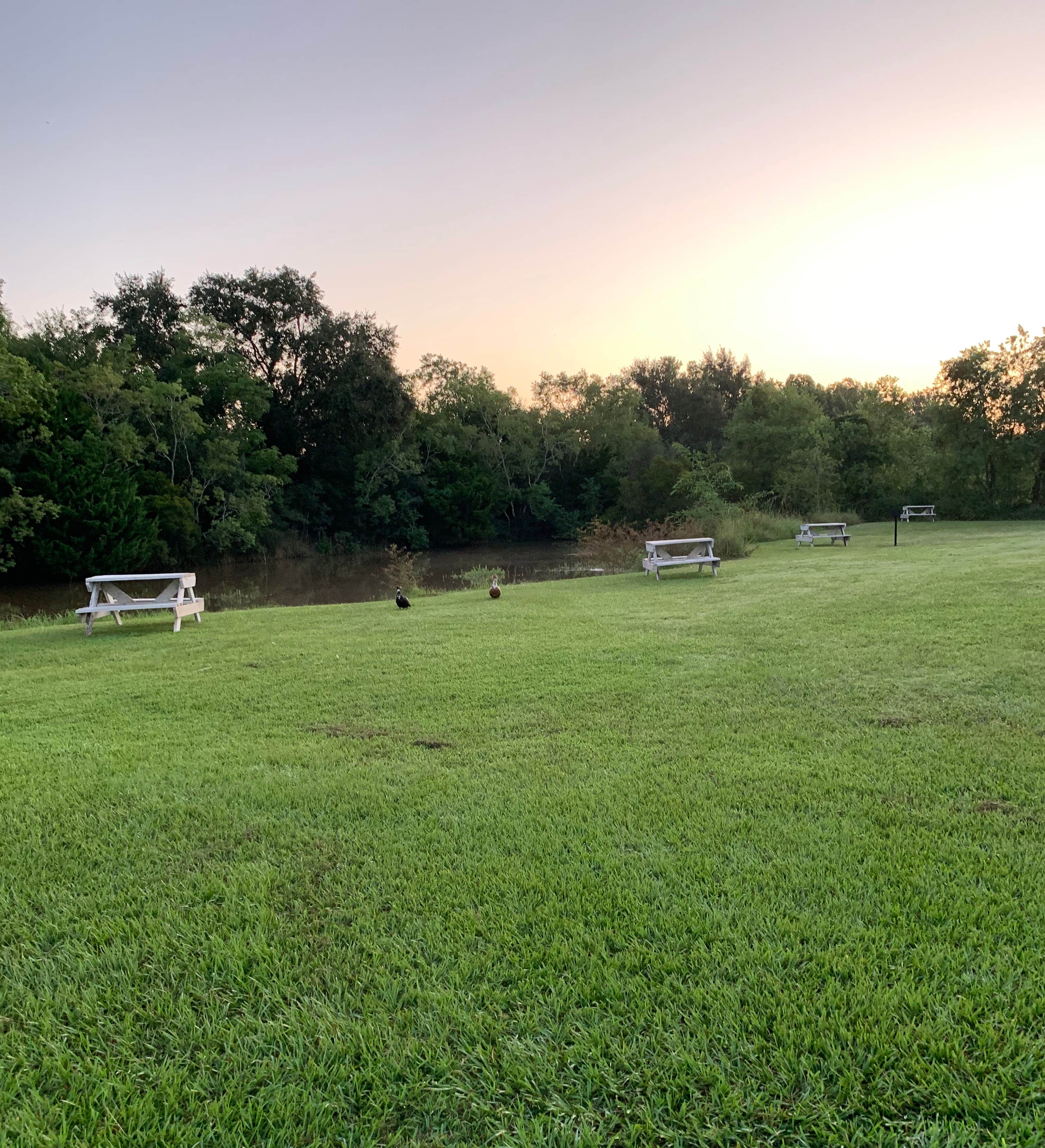 Camper submitted image from Anahuac RV Park - 2