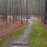 Review photo of Chalk Banks — Lumber River State Park by Marvin D., March 2, 2021