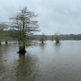 Review photo of Sandy Creek - Town Bluff Reservoir by Jeff N., March 2, 2021