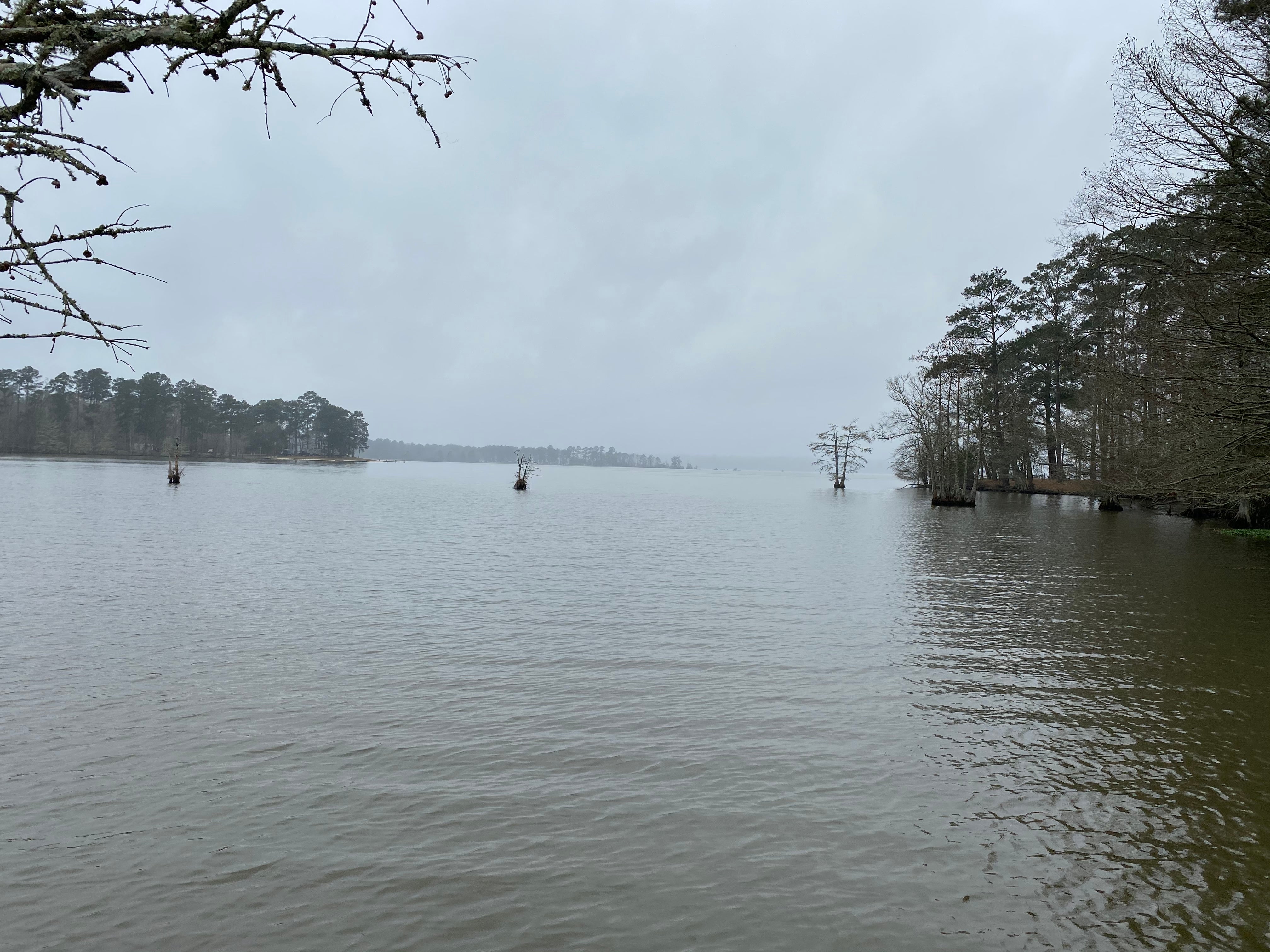 Camper submitted image from Sandy Creek - Town Bluff Reservoir - 2