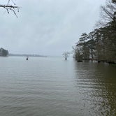 Review photo of Sandy Creek - Town Bluff Reservoir by Jeff N., March 2, 2021