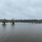 Review photo of Sandy Creek - Town Bluff Reservoir by Jeff N., March 2, 2021