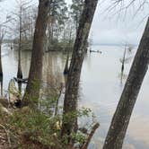 Review photo of Sandy Creek - Town Bluff Reservoir by Jeff N., March 2, 2021