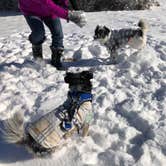 Review photo of Piñon Campground — Lathrop State Park by Jeff N., March 2, 2021