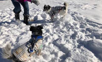 Jeff N.'s photo of camping with pets at Piñon Campground — Lathrop State Park near Rye, CO