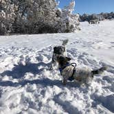 Review photo of Piñon Campground — Lathrop State Park by Jeff N., March 2, 2021