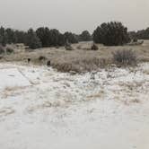 Review photo of Piñon Campground — Lathrop State Park by Jeff N., March 2, 2021