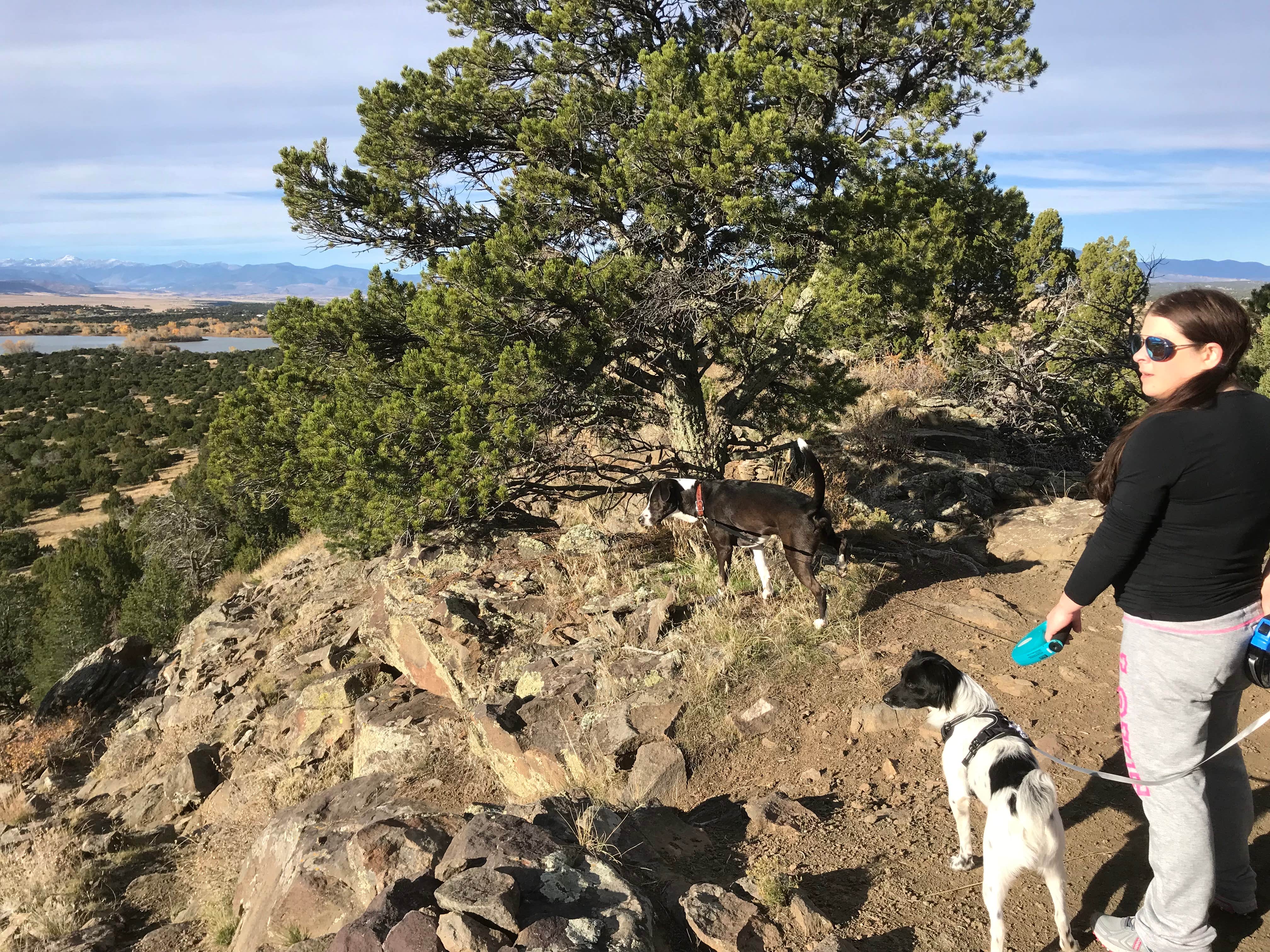Jeff N.'s photo of camping with pets at Piñon Campground — Lathrop State Park near Walsenburg, CO