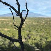 Review photo of Piñon Campground — Lathrop State Park by Jeff N., March 2, 2021