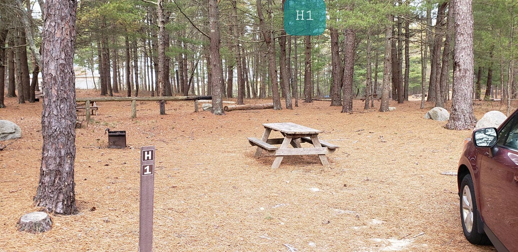 Camper submitted image from Fearing Pond Campground — Myles Standish State Forest - 1