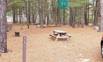 Camping near Cozy Wooded Nook: Fearing Pond Campground — Myles Standish State Forest, South Carver, Massachusetts