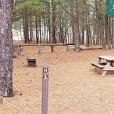 Review photo of Fearing Pond Campground — Myles Standish State Forest by Jean C., March 2, 2021