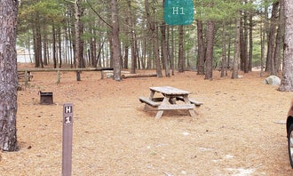 Camping near Boston / Cape Cod KOA (Middleboro): Fearing Pond Campground — Myles Standish State Forest, South Carver, Massachusetts