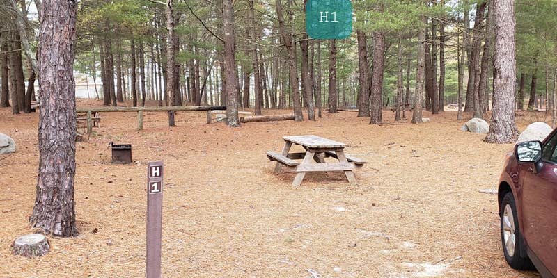 Camper submitted image from Fearing Pond Campground — Myles Standish State Forest