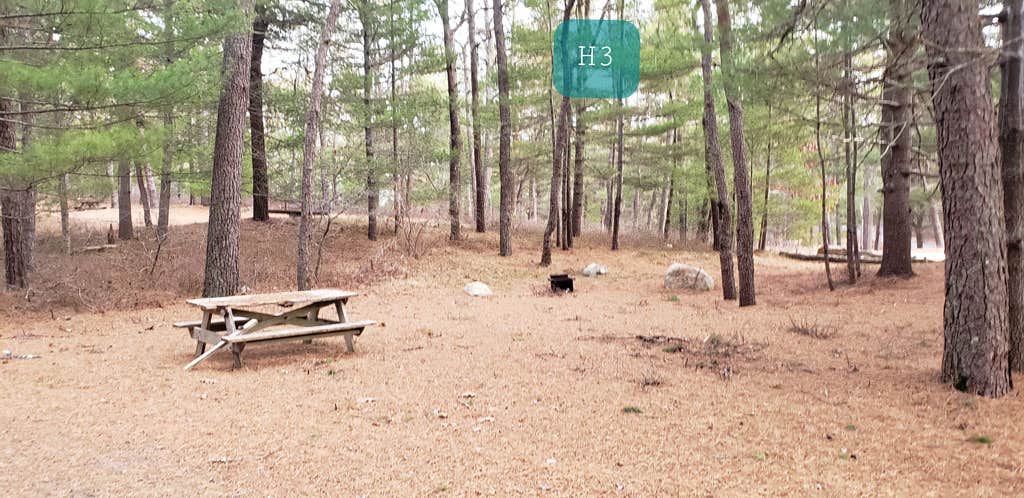 Camper-submitted photo at Fearing Pond Campground — Myles Standish State Forest near Manomet, MA