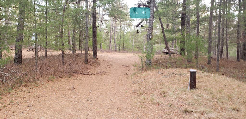 Camper-submitted photo at Fearing Pond Campground — Myles Standish State Forest near Manomet, MA