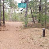 Review photo of Fearing Pond Campground — Myles Standish State Forest by Jean C., March 2, 2021