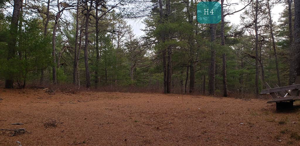 Camper-submitted photo at Fearing Pond Campground — Myles Standish State Forest near Manomet, MA