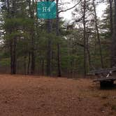 Review photo of Fearing Pond Campground — Myles Standish State Forest by Jean C., March 2, 2021