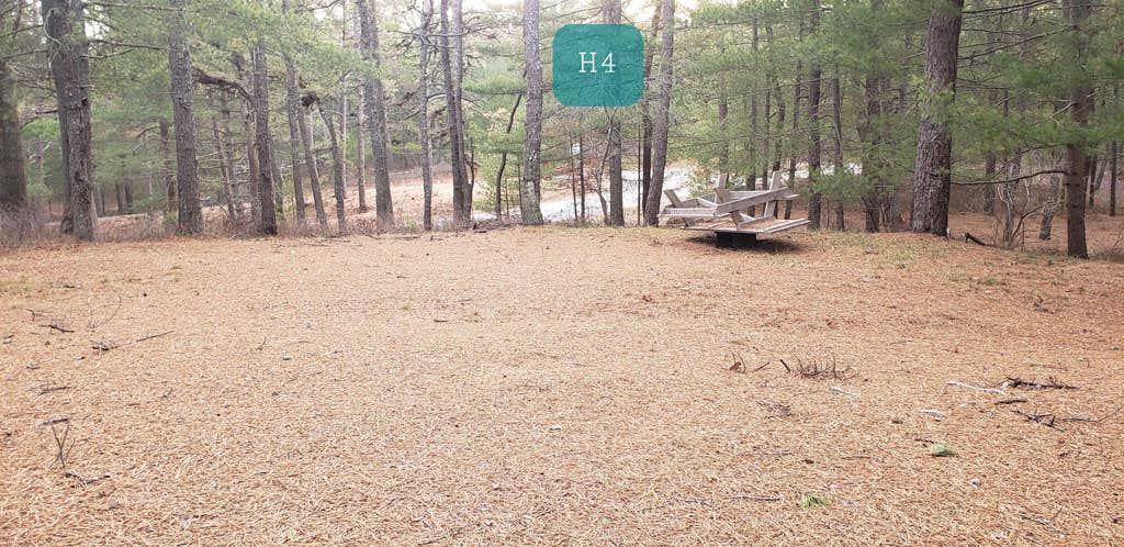 Camper-submitted photo at Fearing Pond Campground — Myles Standish State Forest near Manomet, MA