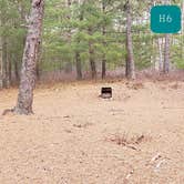 Review photo of Fearing Pond Campground — Myles Standish State Forest by Jean C., March 2, 2021