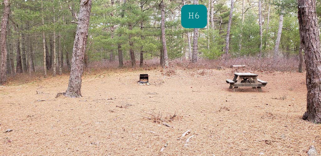Camper submitted image from Fearing Pond Campground — Myles Standish State Forest - 4