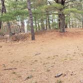 Review photo of Fearing Pond Campground — Myles Standish State Forest by Jean C., March 2, 2021