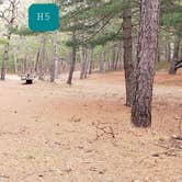 Review photo of Fearing Pond Campground — Myles Standish State Forest by Jean C., March 2, 2021