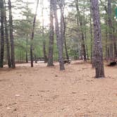 Review photo of Fearing Pond Campground — Myles Standish State Forest by Jean C., March 2, 2021