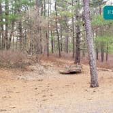 Review photo of Fearing Pond Campground — Myles Standish State Forest by Jean C., March 2, 2021