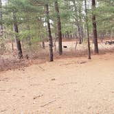 Review photo of Fearing Pond Campground — Myles Standish State Forest by Jean C., March 2, 2021