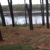 Review photo of Fearing Pond Campground — Myles Standish State Forest by Jean C., March 2, 2021