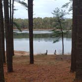 Review photo of Fearing Pond Campground — Myles Standish State Forest by Jean C., March 2, 2021