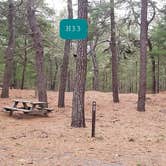 Review photo of Fearing Pond Campground — Myles Standish State Forest by Jean C., March 2, 2021