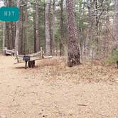 Review photo of Fearing Pond Campground — Myles Standish State Forest by Jean C., March 2, 2021