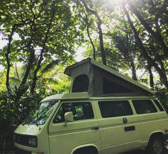 Camper-submitted photo from Waiʻanapanapa State Park Campground