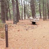 Review photo of Fearing Pond Campground — Myles Standish State Forest by Jean C., March 2, 2021