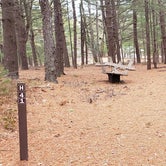 Review photo of Fearing Pond Campground — Myles Standish State Forest by Jean C., March 2, 2021