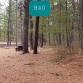 Review photo of Fearing Pond Campground — Myles Standish State Forest by Jean C., March 2, 2021